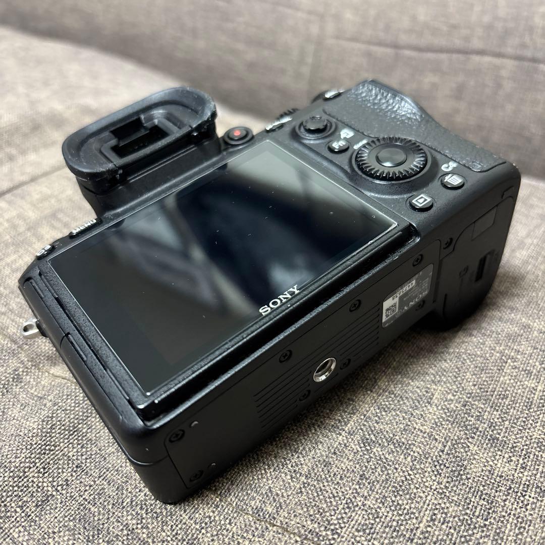 SONY α9 （ILCE-9+シグマmc-11）