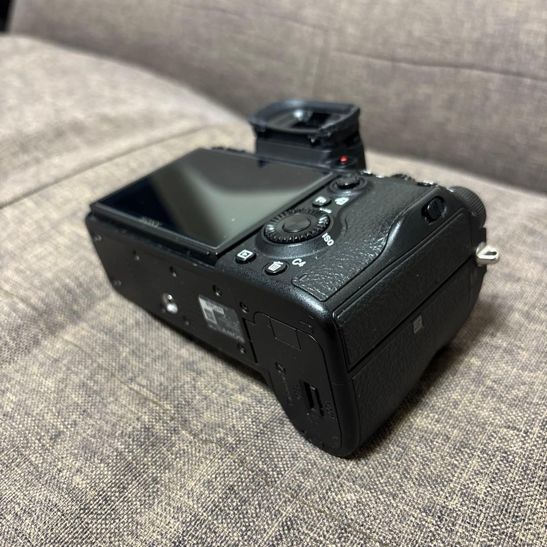 SONY α9 （ILCE-9+シグマmc-11）
