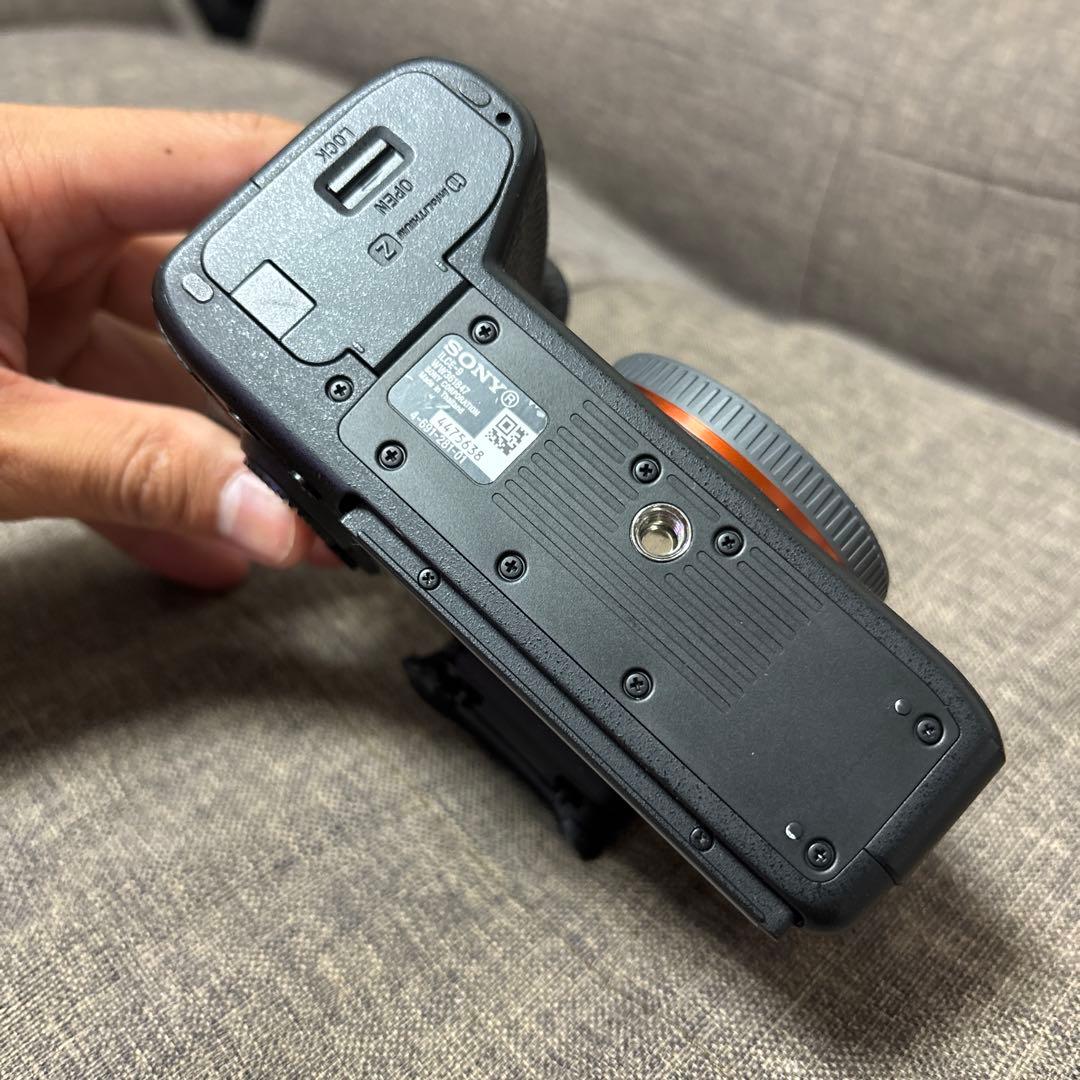 SONY α9 （ILCE-9+シグマmc-11）