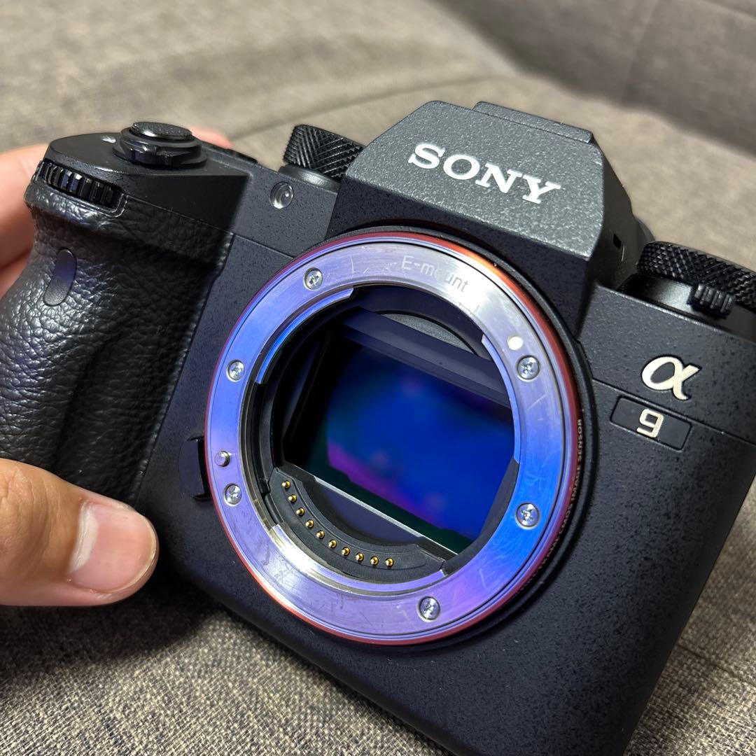 SONY α9 （ILCE-9+シグマmc-11）