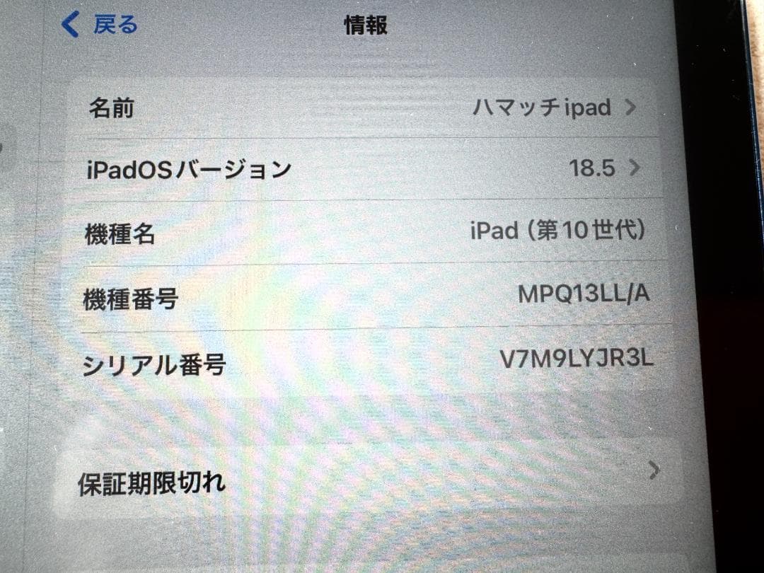 【美品】iPad 第10世代 Wi-Fi 64GB ブルー（バッテリー100％）