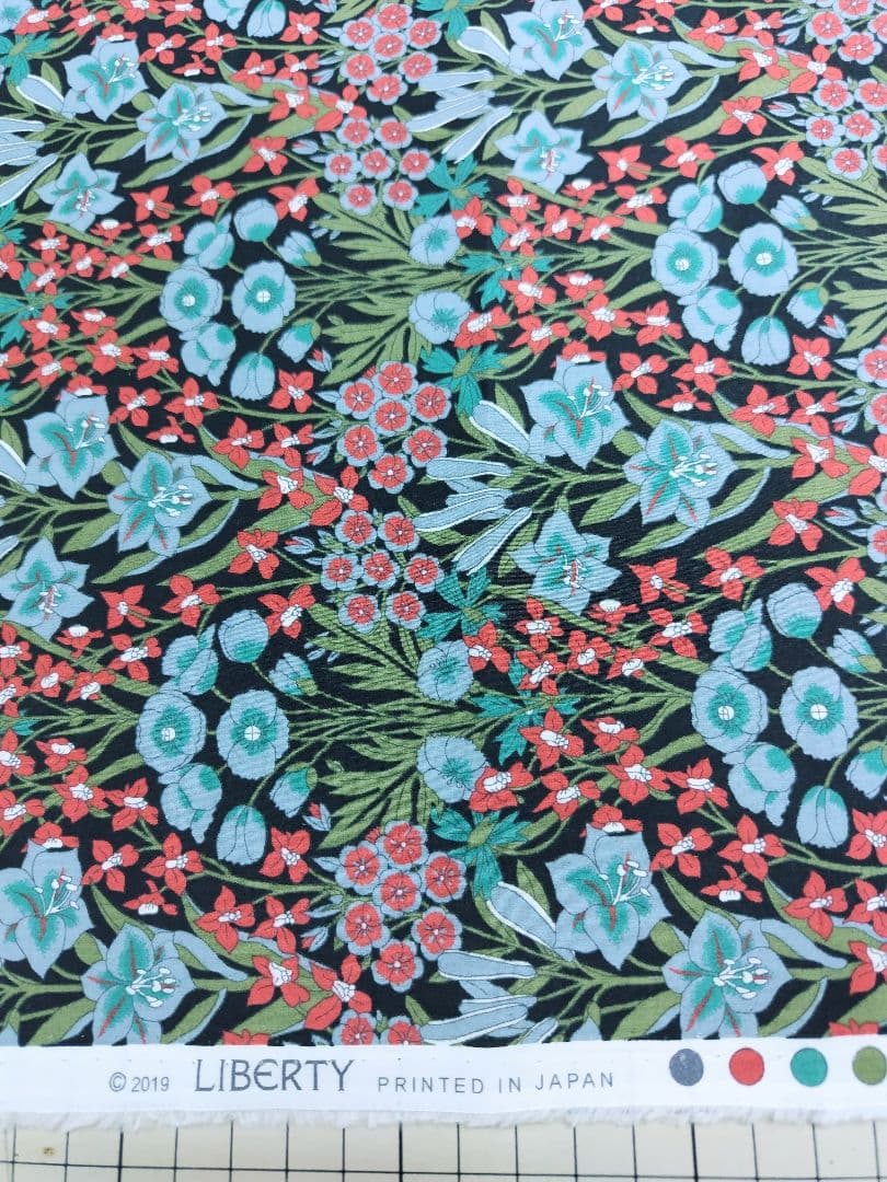 臆病猫　リバティガウチョ