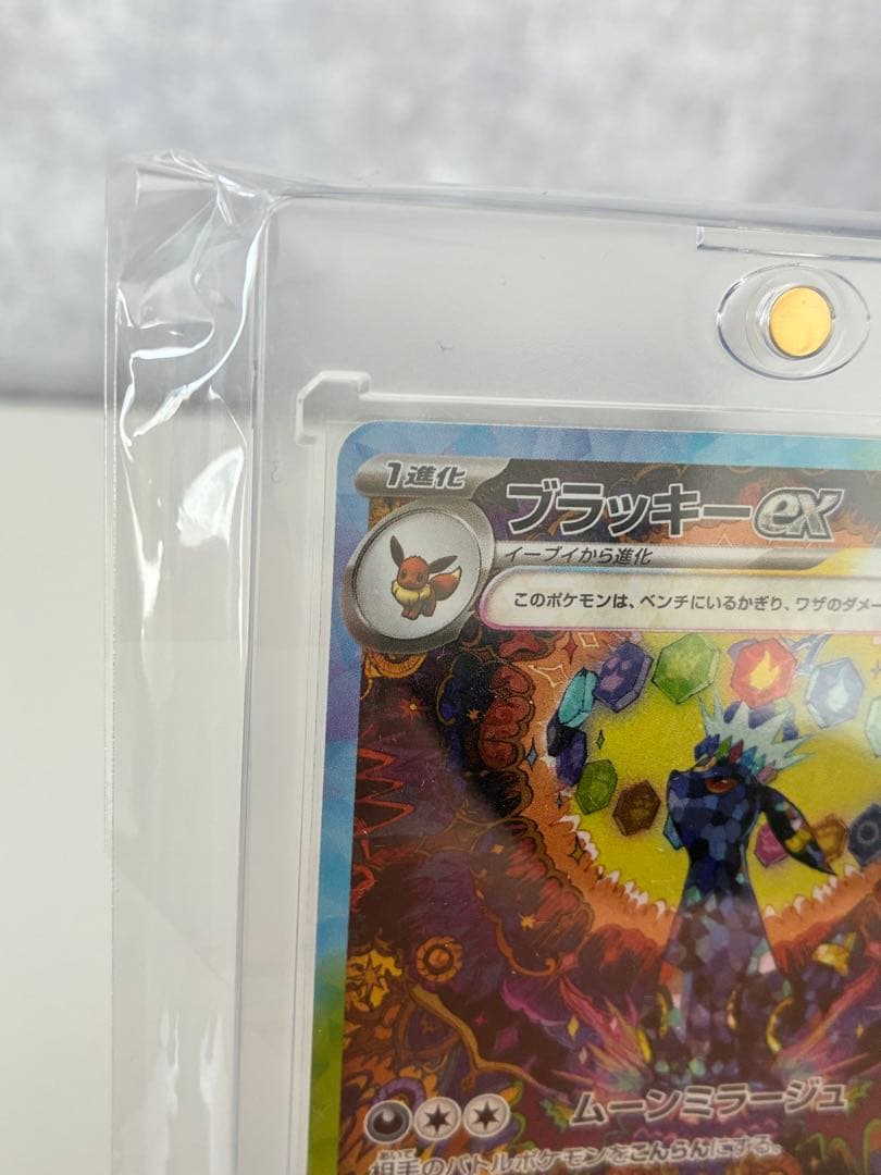 シ*）様 ポケモンカード　ブラッキーSAR1毎日