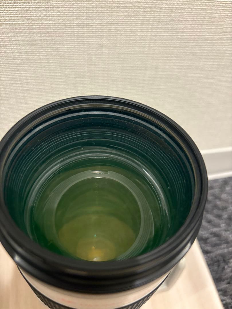 Canon EF 70-200mm f/2.8L USM ズームレンズ