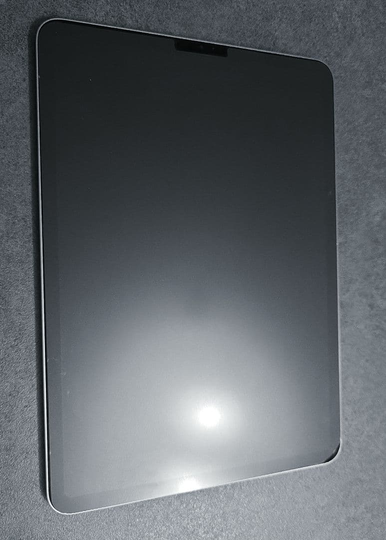 【条件有り】iPad Pro第4世代 11インチ 128GB