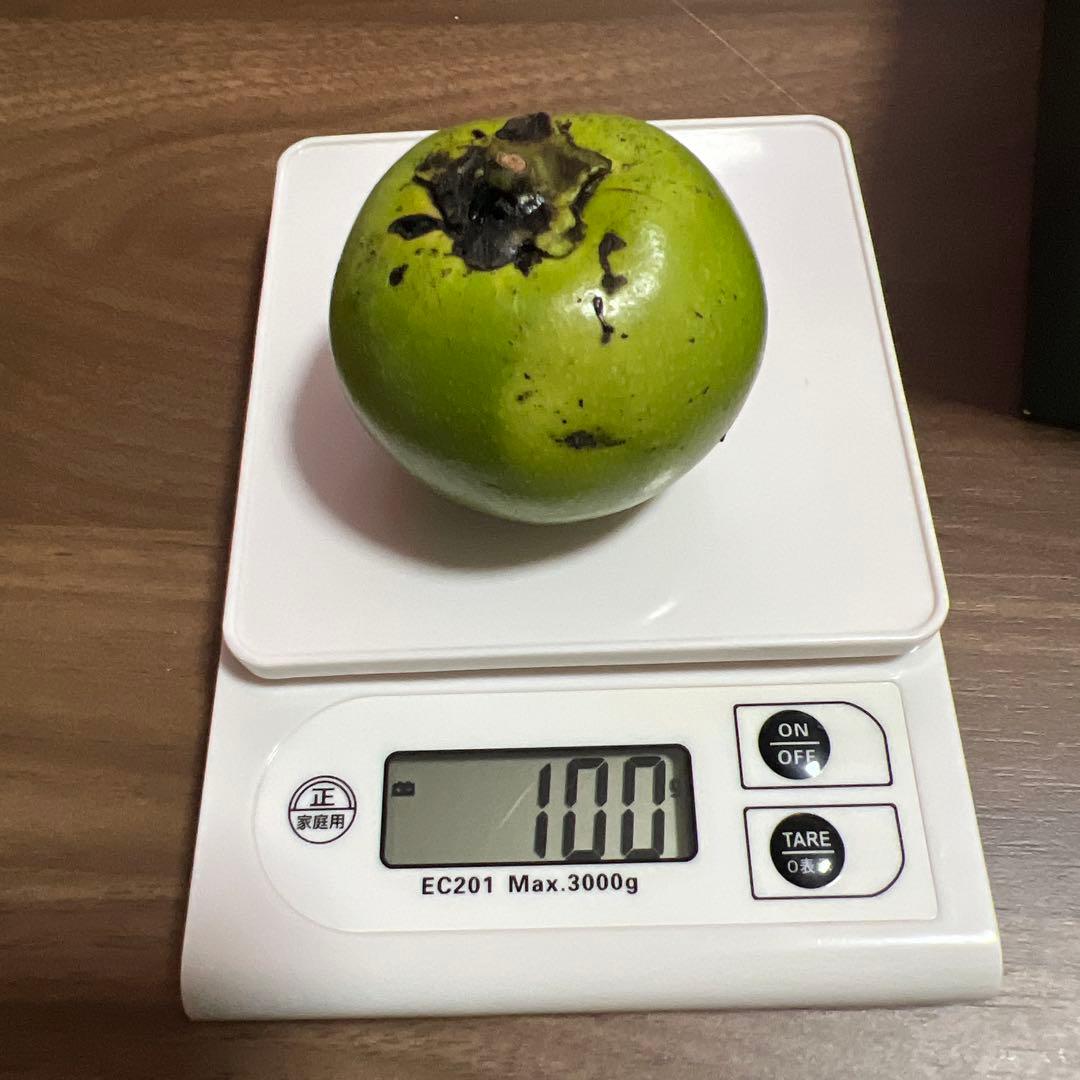 沖縄県産ブラックサポテ