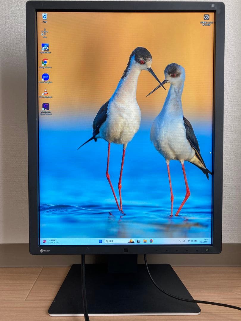 EIZO RadiForce RX250 医療用液晶モニター IPS 6159h