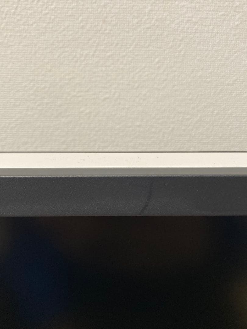 EIZO RadiForce RX250 医療用液晶モニター IPS 6159h