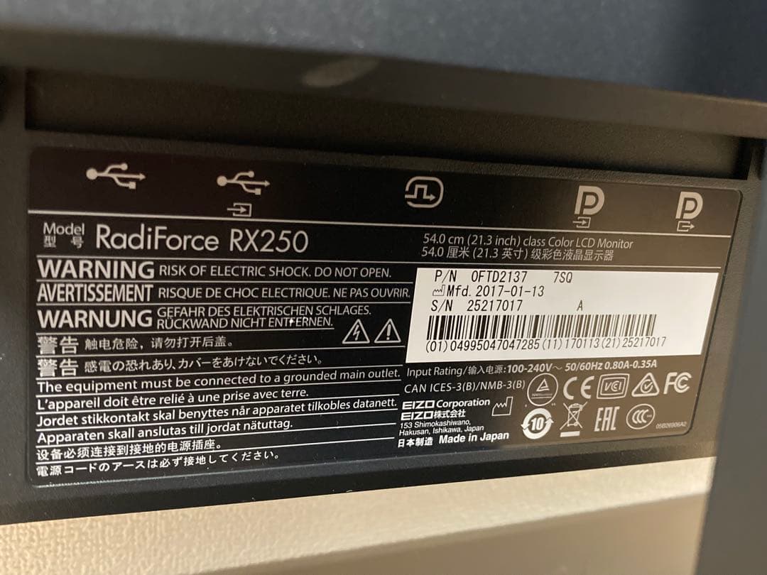EIZO RadiForce RX250 医療用液晶モニター IPS 6159h