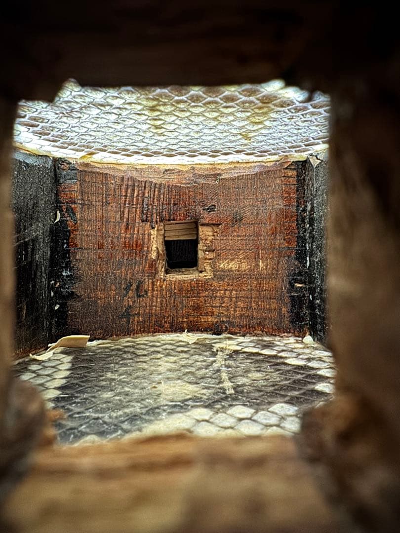 三線 西平開鐘型 佐久本盛信 ハードケース付