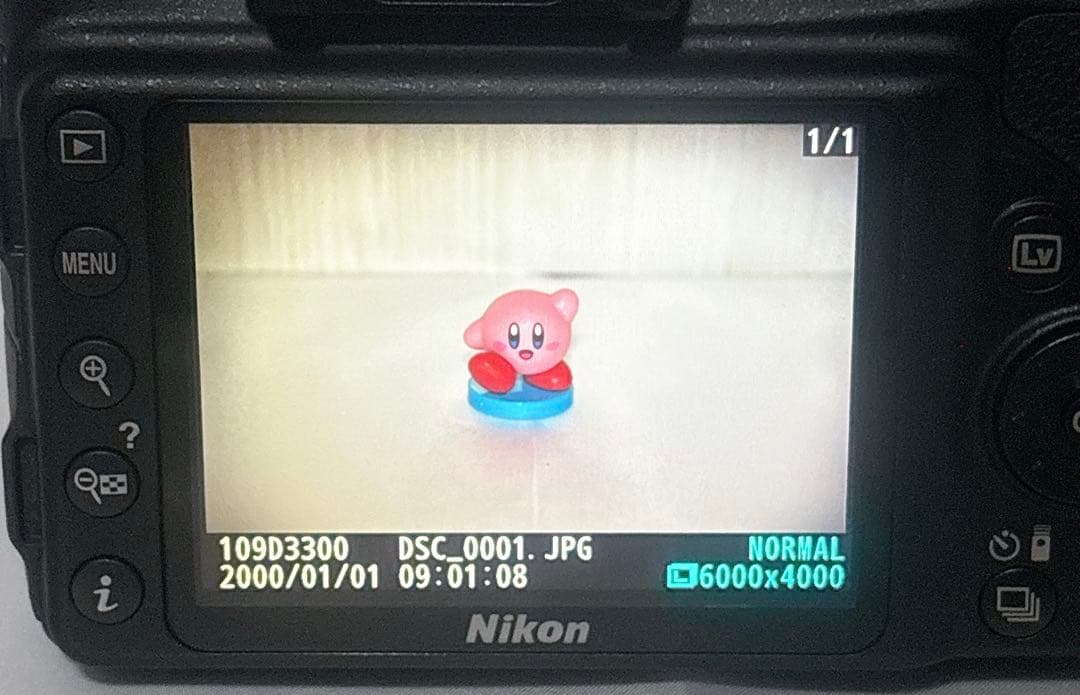 ✨初心者向け✨Nikon D3300 ダブルズーム 入学式 卒業式 スマホ転送