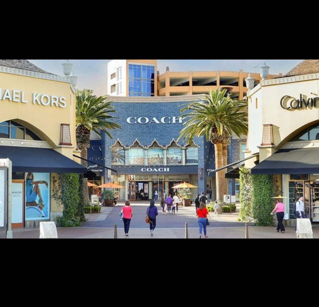 COACH 長財布 コーチ×ピーナッツ スヌーピーウッドストックシグネチャー