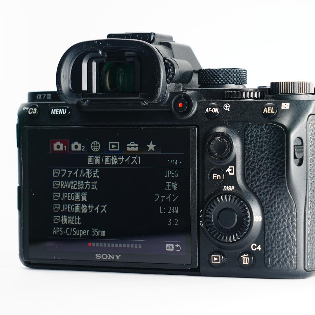 【完全セット】SONY α7III美品！22,358回/20万 すぐ撮影可能