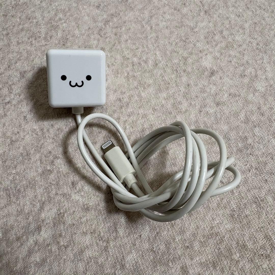 iPad Air2 64GB｜アップル純正ケース・ケーブル一体型充電器付き