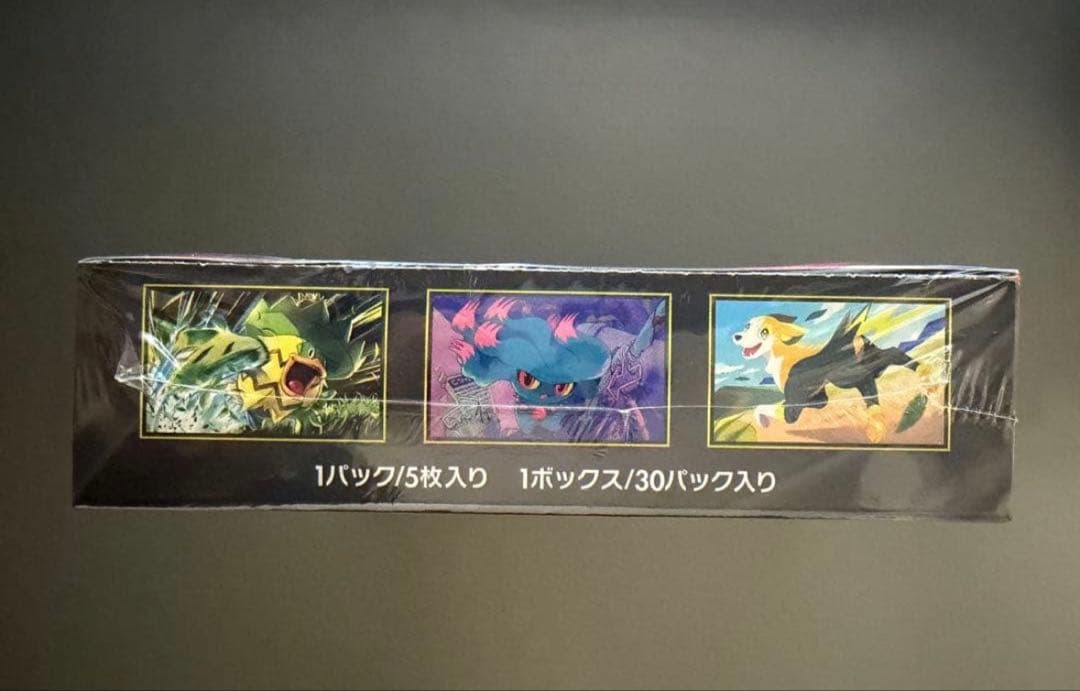 新品・シュリンク付きポケモンカードゲーム インフェルノX 2BOX