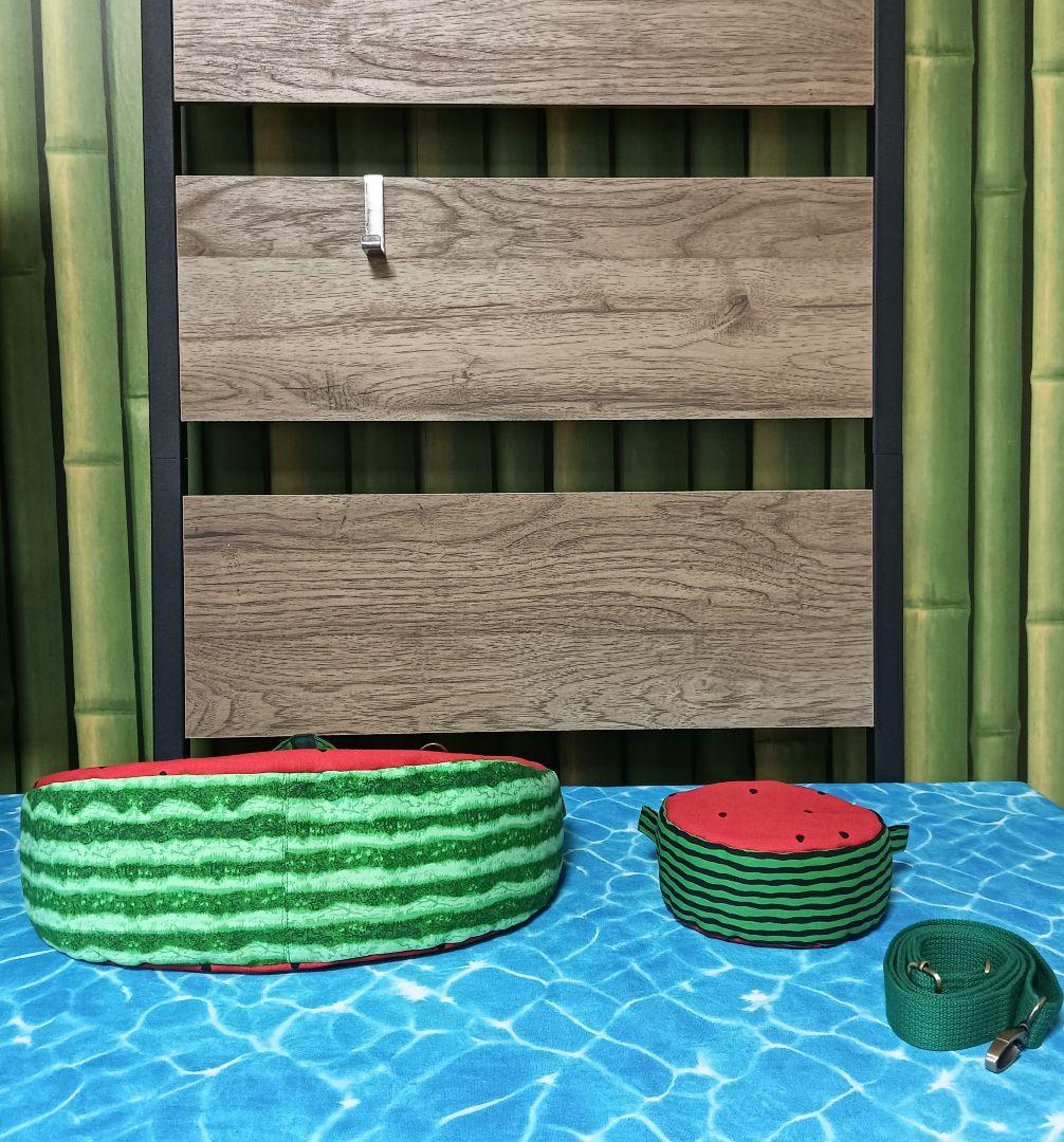 ありす姫です　スイカ　ショルダーバッグ　ポーチ　ハンドメイド