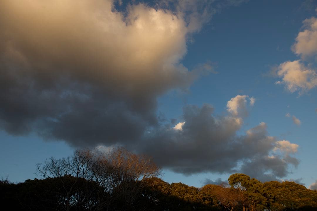 レンズ(ズーム) AF-S NIKKOR 24-70mm F2.8G ED