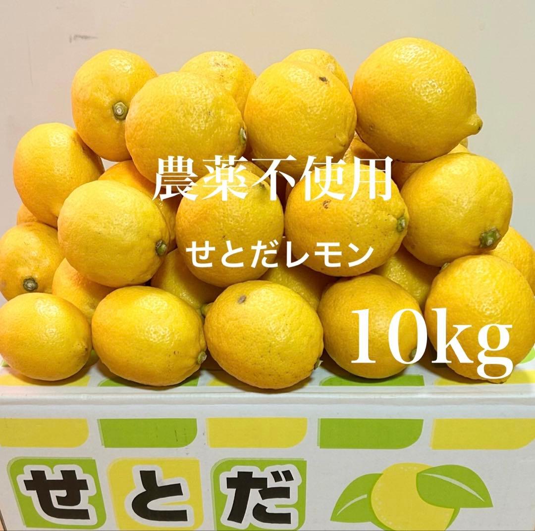 14国産瀬戸田レモン10kg前後