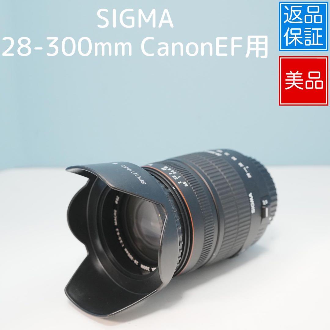 SIGMA 28-300mm CanonEF用 望遠レンズ 極美品 a5227