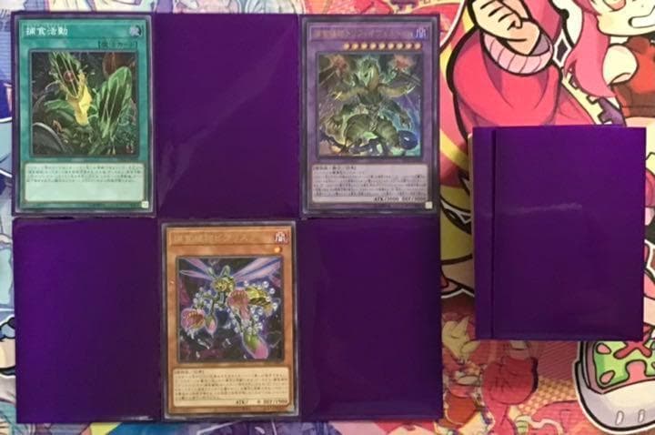 本格構築 【捕食植物】デッキ メイン＆EX15枚＆スリーブ セット