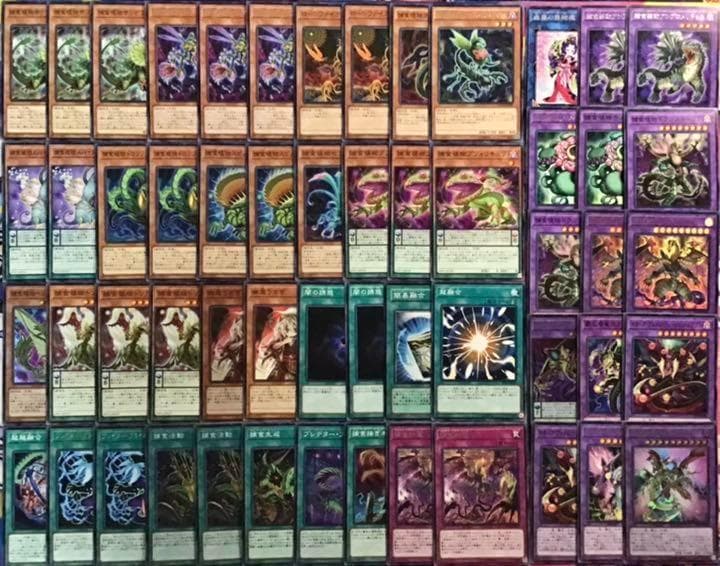 本格構築 【捕食植物】デッキ メイン＆EX15枚＆スリーブ セット