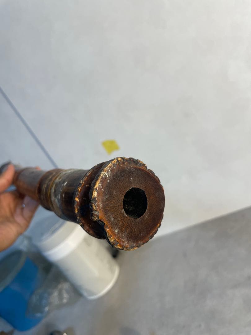 尺八 1尺9寸管 根付き竹製 古管 和楽器 琴古流 都山流　音出し確認済