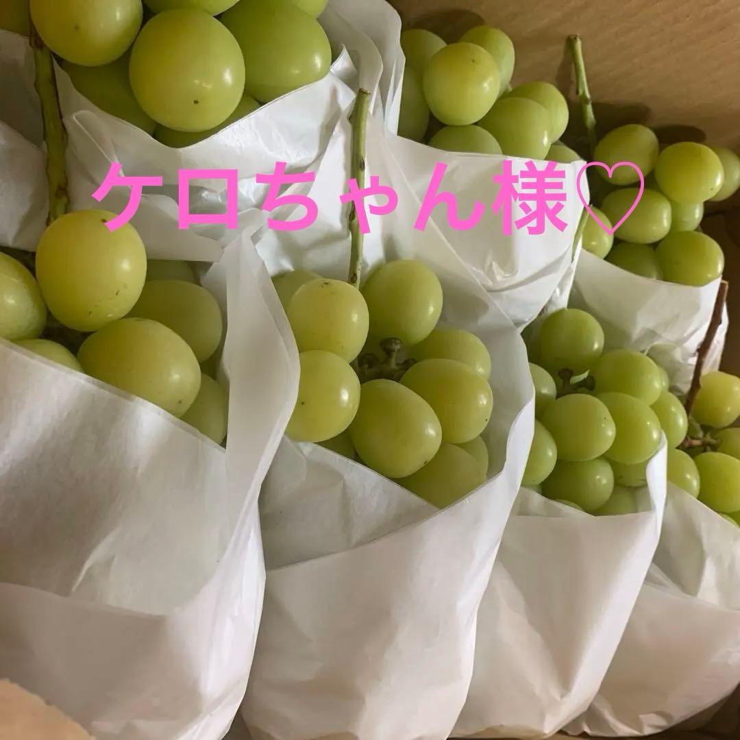 大粒シャインマスカット（房5キロ）