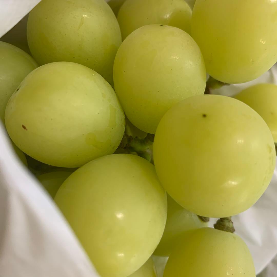 大粒シャインマスカット（房5キロ）