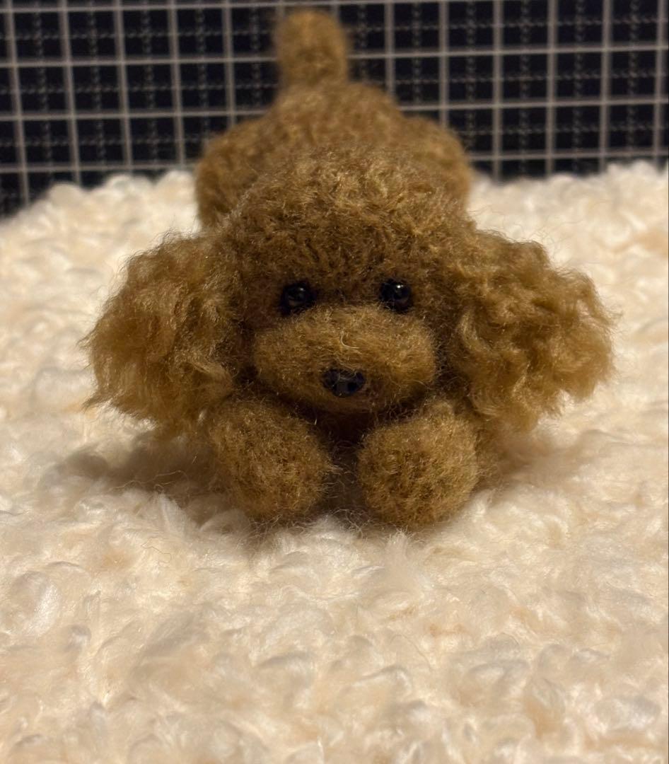 羊毛フェルト 毛糸 トイプードル（遊んだ後のリラックスタイム）❣️