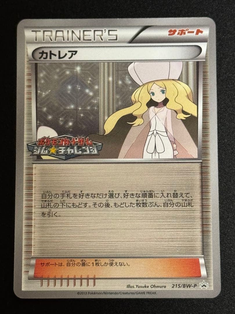 自分を赤身魚と信じて疑わない鮭様 リクエスト 3点 まとめ商品