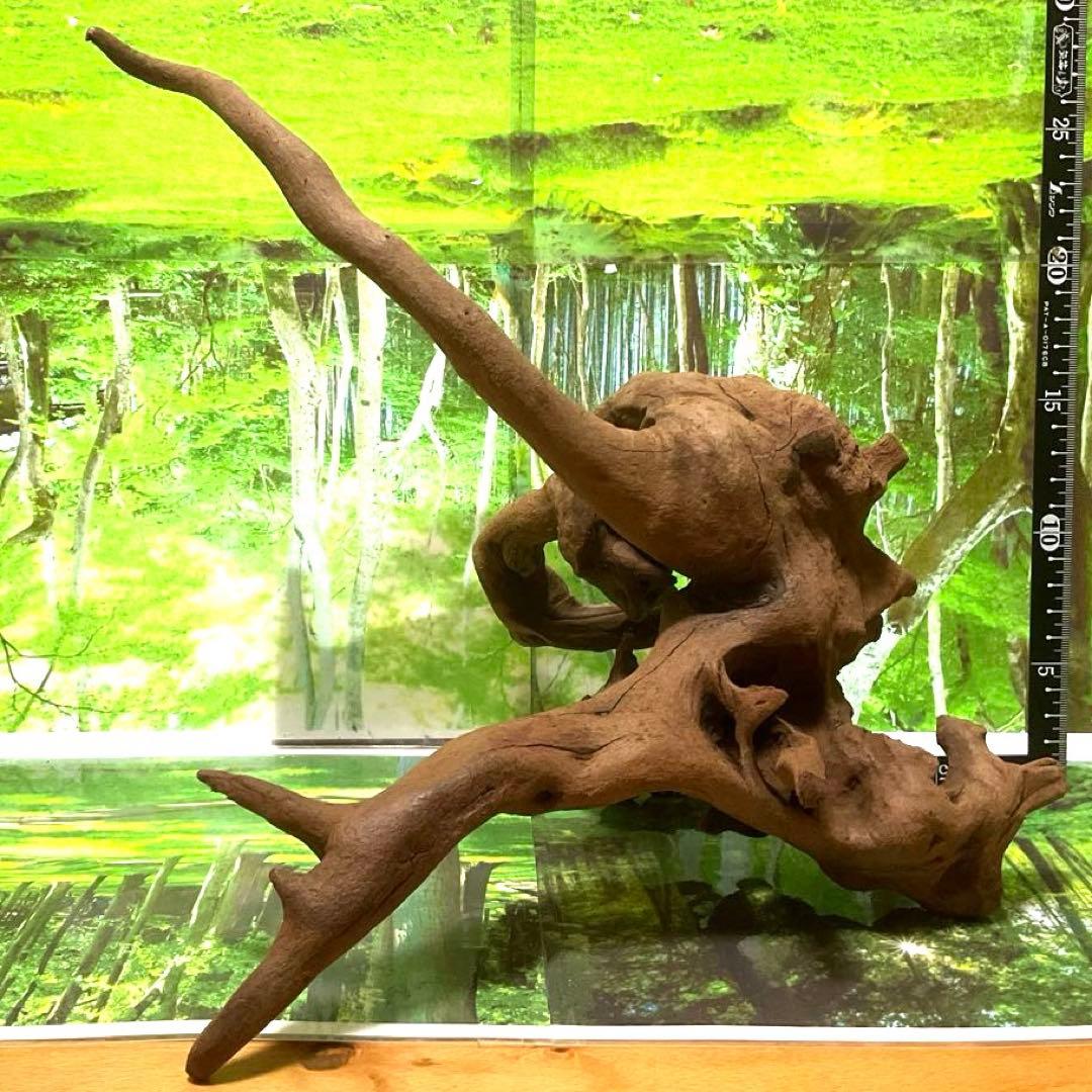 モスキート4点 天然水槽用流木