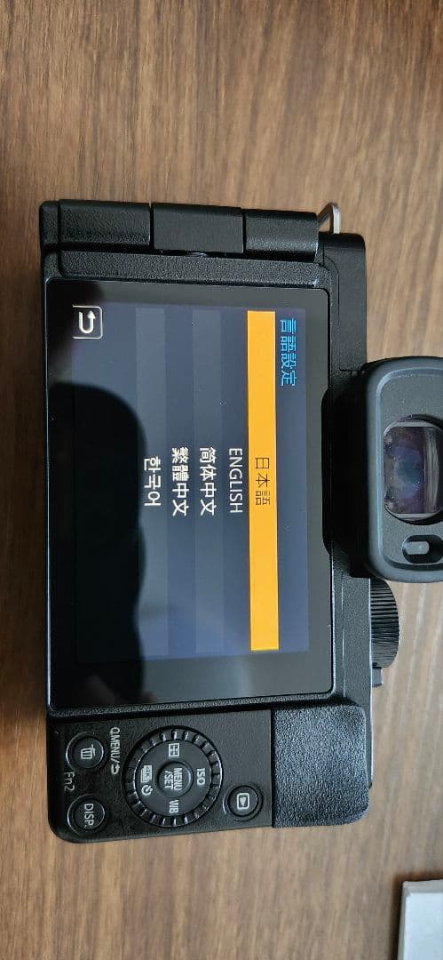 最終値下げ ミラレース一眼レフ LUMIX DC-G100V