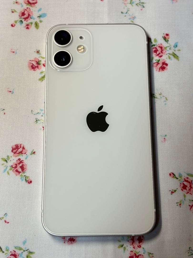 【お得なセット】iPhone12 mini SIMフリー