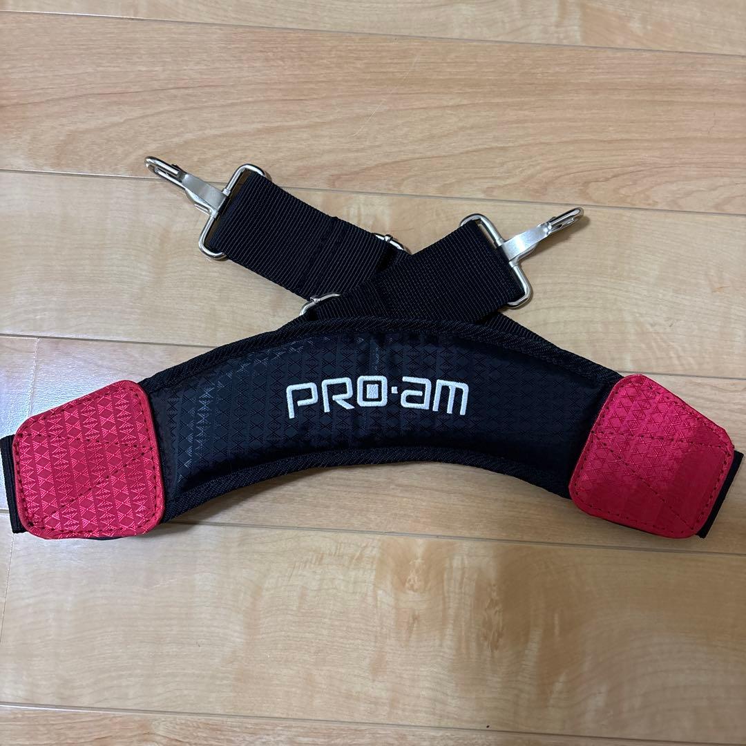 【美品】PRO-AMボウリングキャリーバッグ（ボウル2個用）