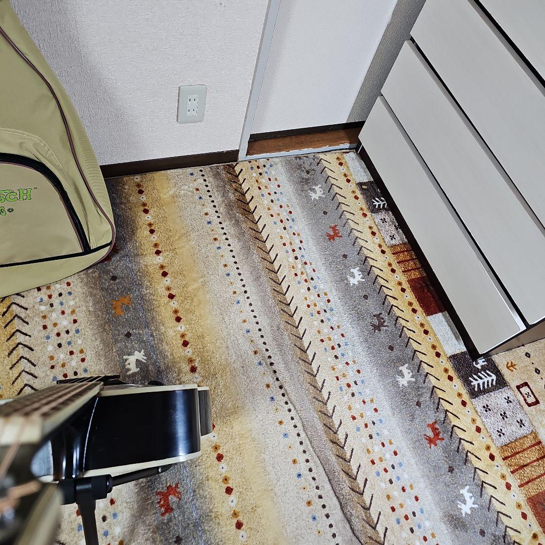 木曽鈴木バイオリンNo.6ピックギター1962年製GAETSCHキグバック付き。