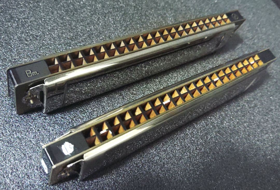 TOMBO ハーモニカ 11本セット