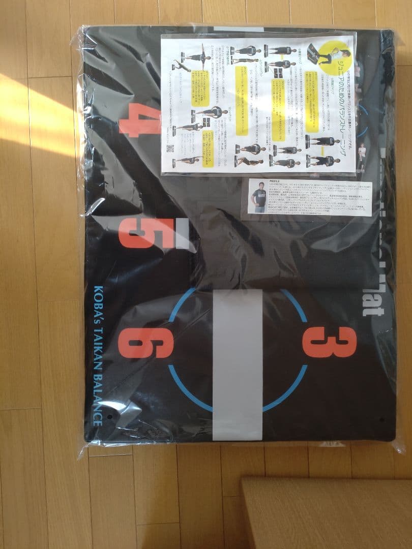 KOBAYAS TAIKAN BALANCE マット