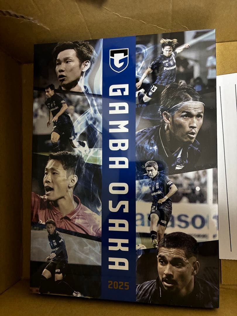 GAMBAOSAKA 2025 シーズンレビューDVD ロッカールーム