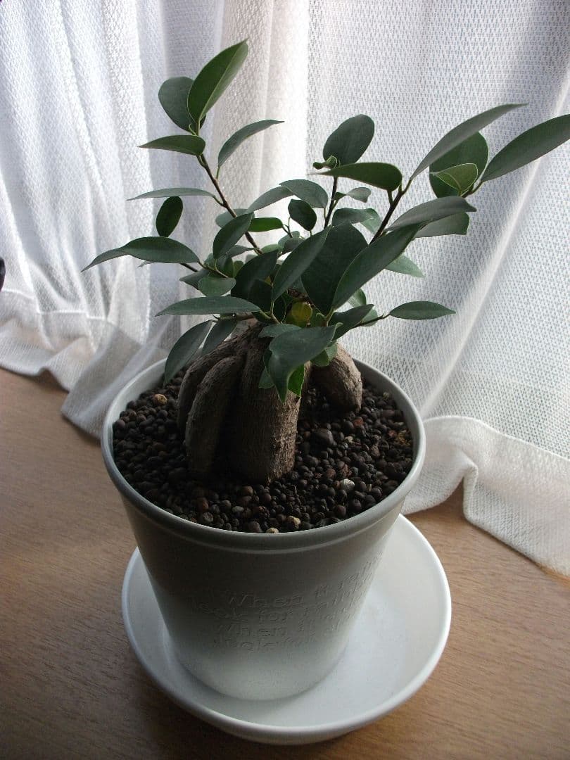 【まい様】【中古品】富士フィルム Fujifilm J30 コンデジカメラ