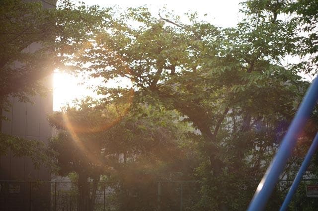 【オールドレンズ】Super Takumar 55mm f1.8 後期