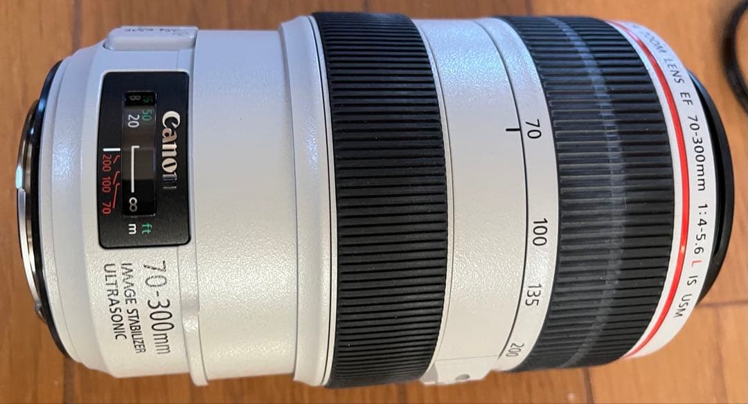 Canon EF 70-300mm f/4-5.6L IS USM ズームレンズ