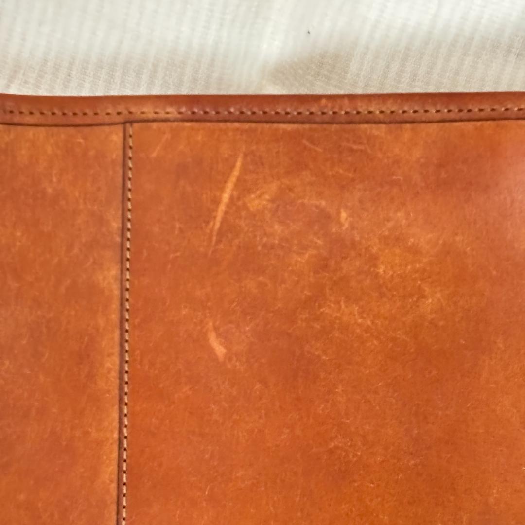 WILDSWANS ショルダーバッグ・COLLIER プエブロver（限定）