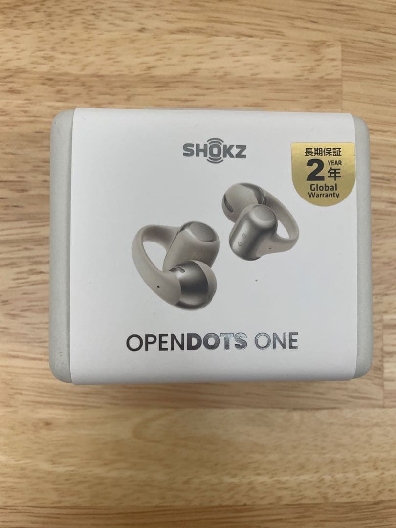 SHOKZ OPENDOTS ONE グレー