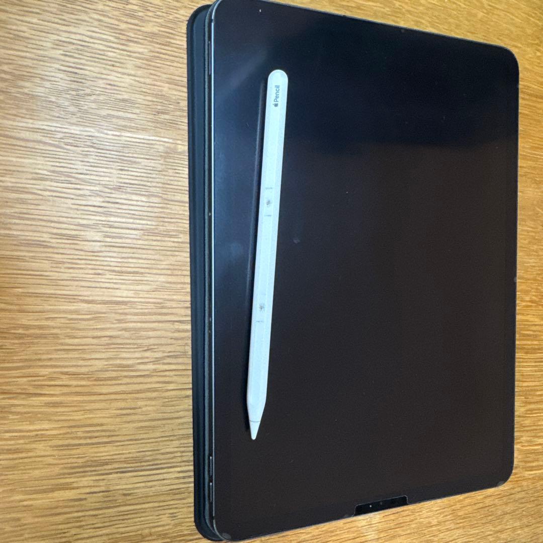 iPad Pro (第1世代) 11インチ 256GB Cellular