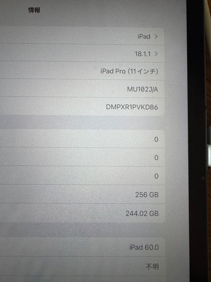 iPad Pro (第1世代) 11インチ 256GB Cellular