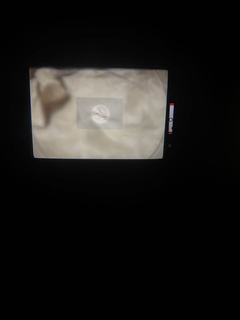 ミ*ニ様 【美品】Canon F1 後期 50mm f1.4 レンズセット