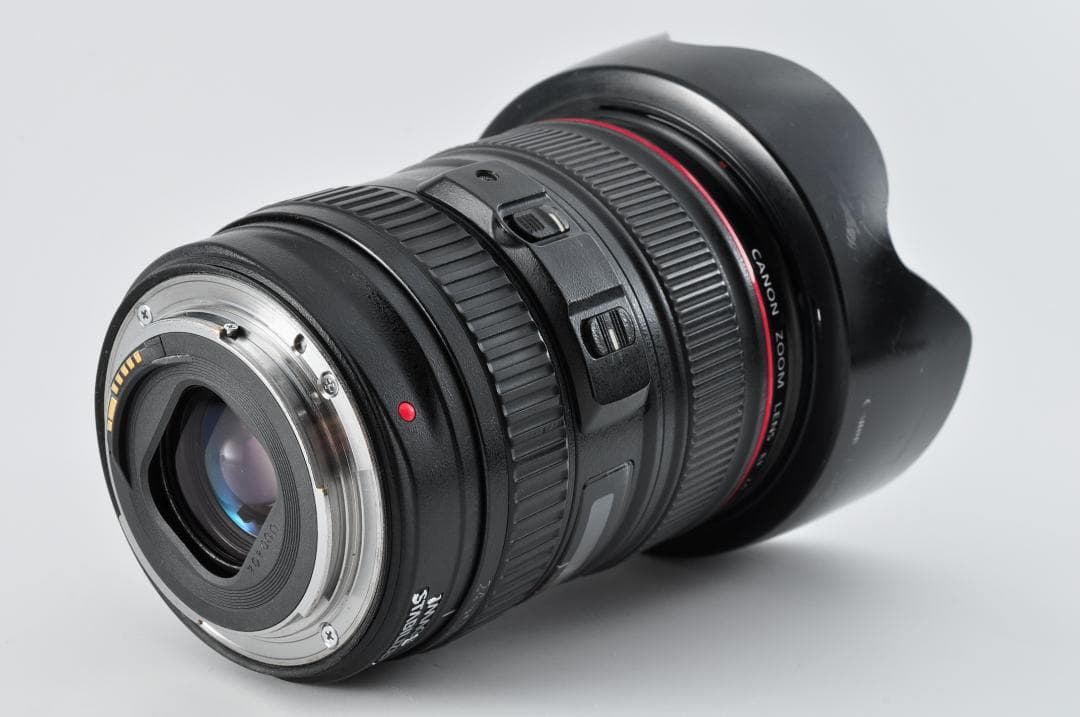 レンズ(ズーム) Canon EF 24-105mm F4 L IS USM #1388.22