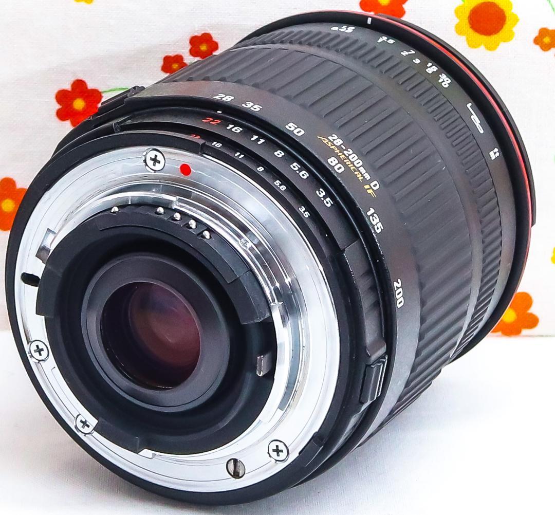 ニコン Nikon D70☆スマホに転送☆広角から望遠まで撮影！☆初心者おすすめ