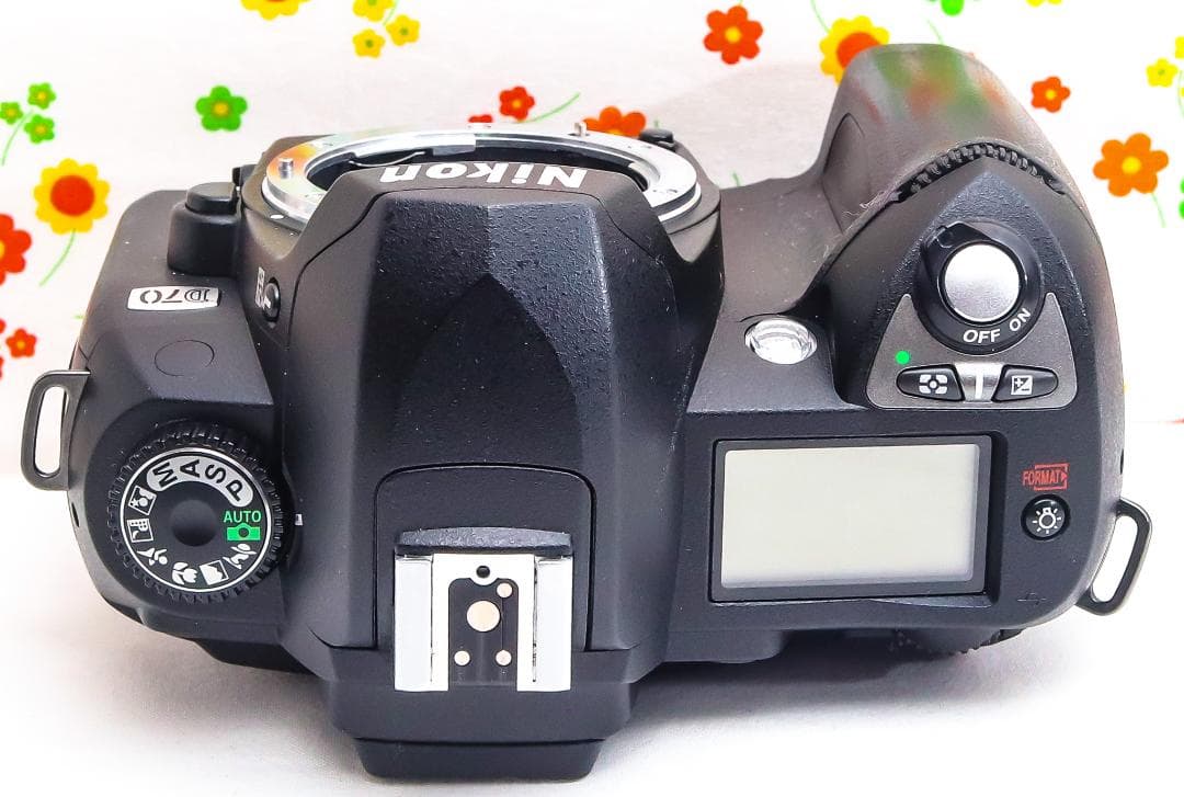 ニコン Nikon D70☆スマホに転送☆広角から望遠まで撮影！☆初心者おすすめ