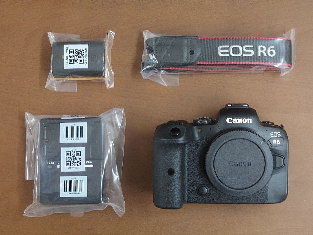 【ほぼ新品】（1400回）CANON キヤノン EOS R6ボディ